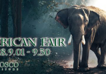 【　FAIR　】　９月フェア「SUMMER SALE  Vol.2　~African  Fair~」