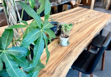 11月は国産材フェア【日本の木まつり】