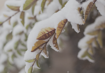 2月11日(水・祝)は営業いたします！